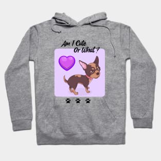 Chihuahua Puppy / Am I Cute Or What / Chihuahua Design Hoodie